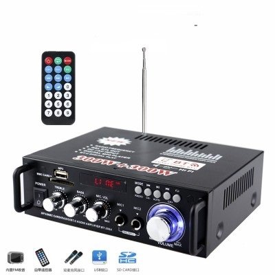 Mini Mini Power Amplifier Speaker Card U disk receiver DC 12V 220V BT Power Amplifier